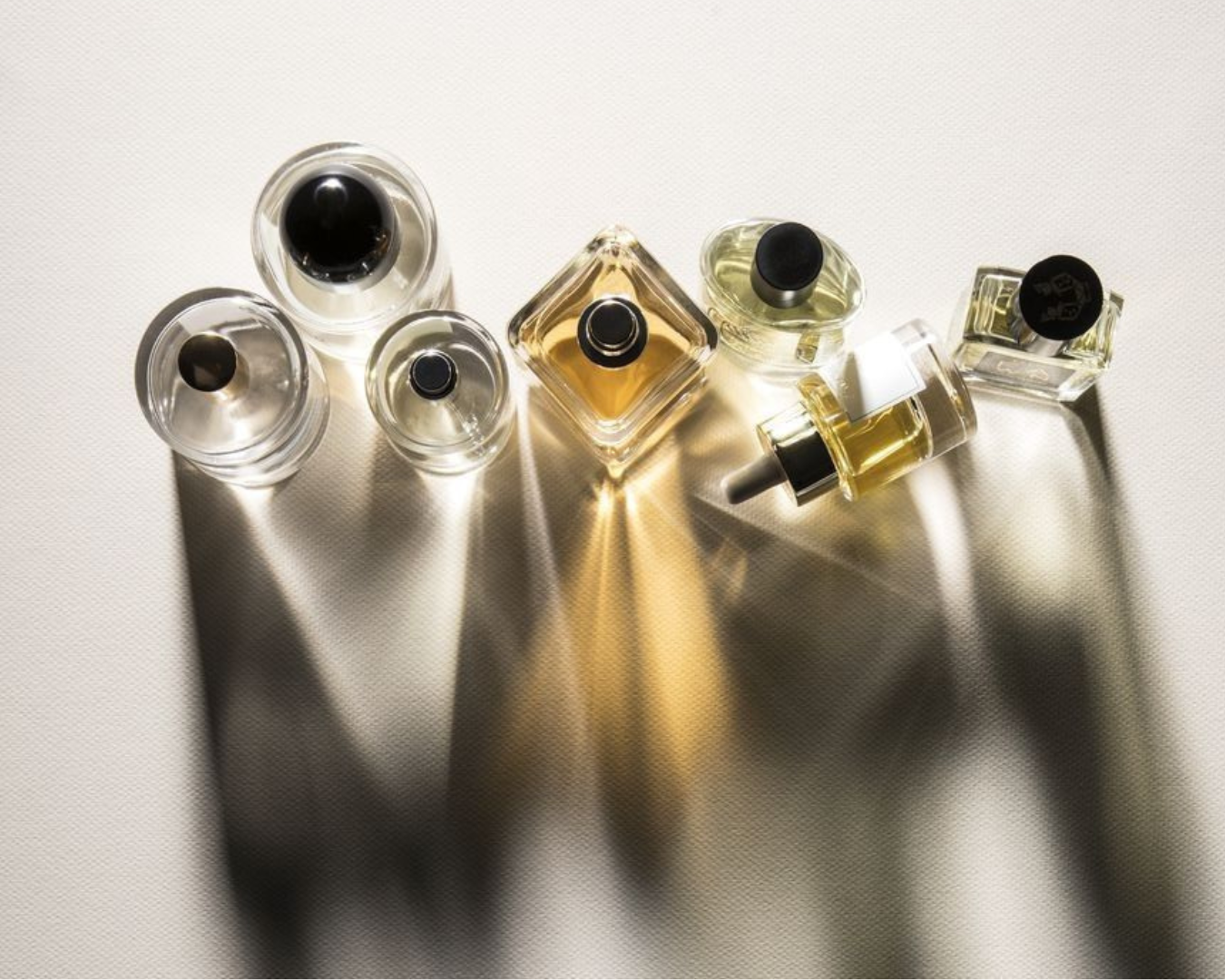 different sized perfume bottles lined Arm's Reach Black IV fragrance collection